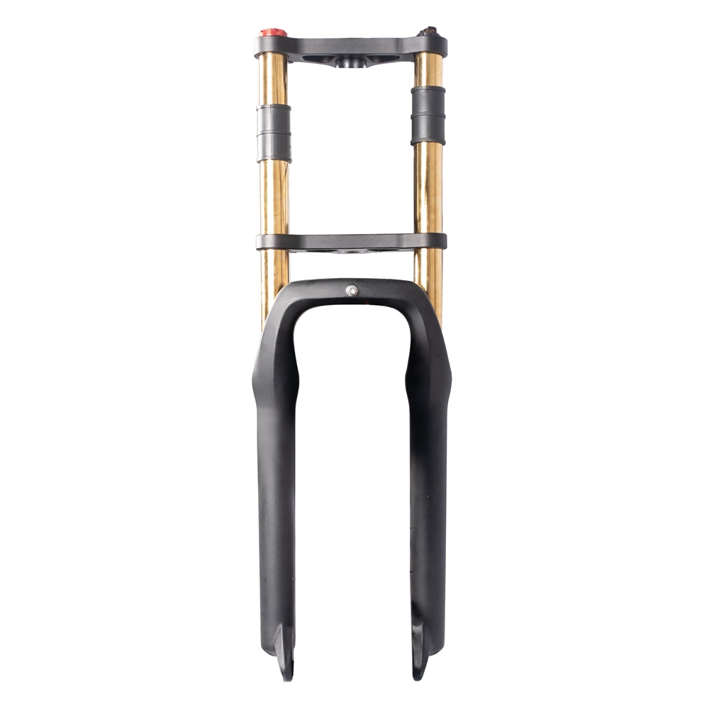 Double Crown Front Fork – Burchda Bikes