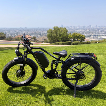 Black Burchda fat tire ebike with rear rack and fenders parked on a grassy hill overlooking a city skyline