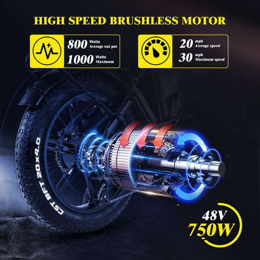 750W (peak 1000W) Brushless Motor